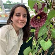 Personalised lessons on any science subject for an affordable price